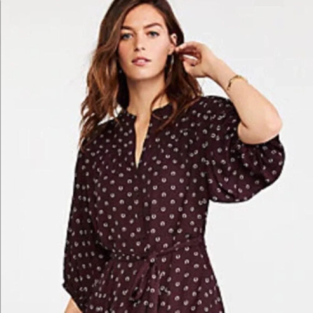 A6 - Ann Taylor horseshoe belted dress size 8 - Picture 4 of 9